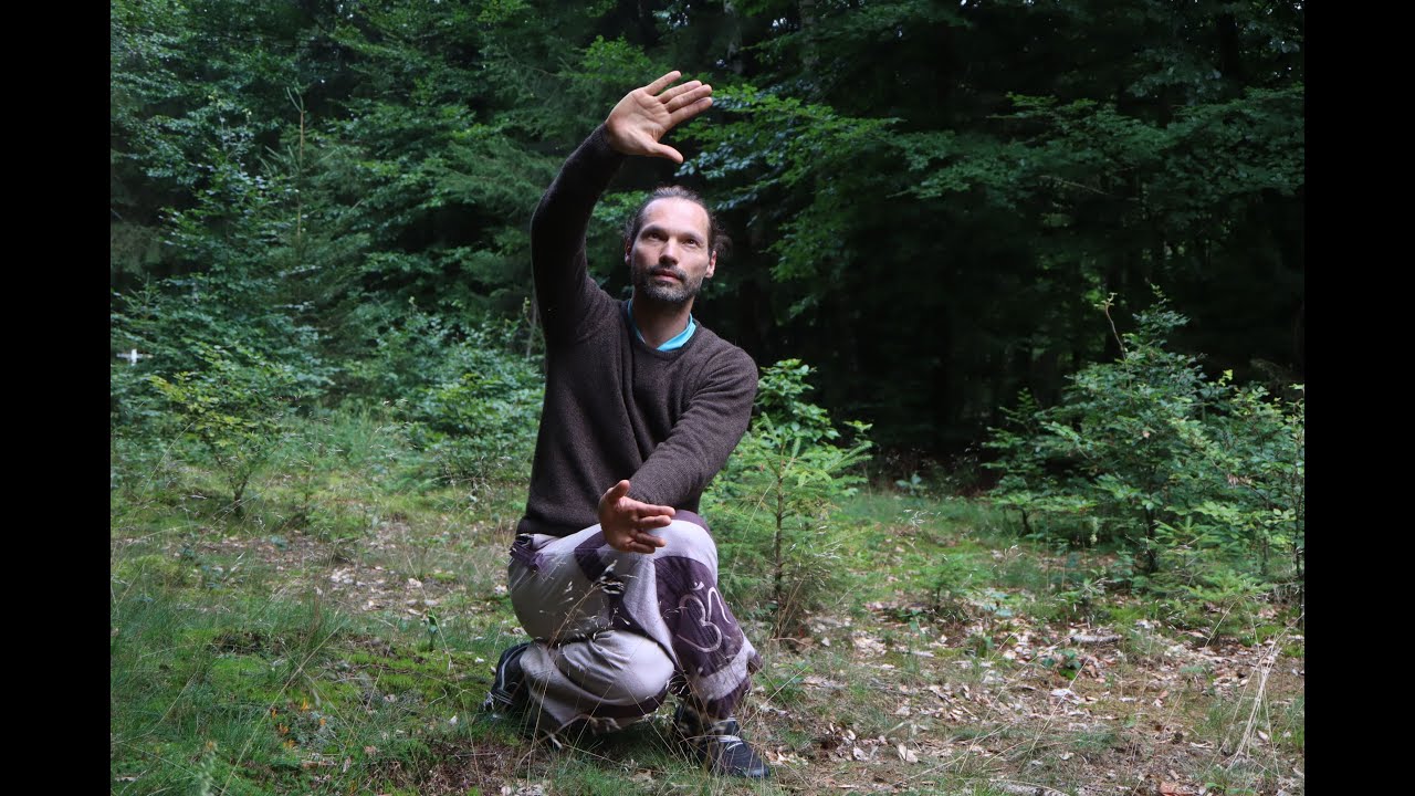 QiGong de Santé - Méthode TPS - Combo : échauffement énergétique et auto-massage