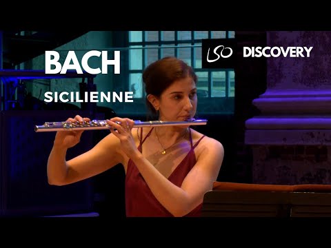 J.S Bach: "Sicilienne" from Flute Sonata BWV1031 | Flute & Harp