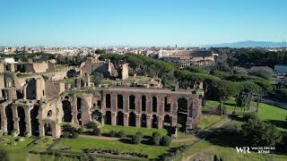 Colosseum and Palatine hill