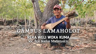 GAMBUS LAMAHOLOT - Rera Weli Woka Kuma ( Bpk Nadus Mudamakin ) || Musik Daerah Lamaholot