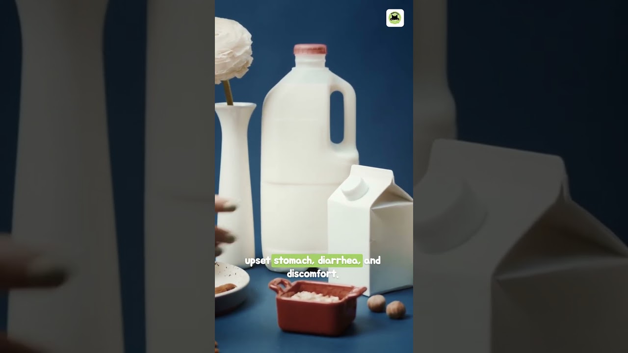 Is It Ok To Give Cats Milk?