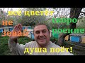 ПАСЕКА 9 МАЯ/ БУРНОЕ РАЗВИТИЕ ПЧЕЛ ТРЕБУЕТ СОЗДАНИЕ ОТВОДКОВ, ИЛИ БУДЕТ РОЕНИЕ/ КАК УДЕРЖАТЬ ПЧЕЛ..?