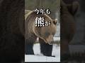 それ、熊呼んでます。#アウトドア ＃熊＃キャンプ