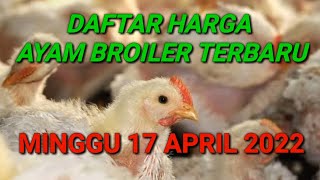 Harga Ayam Broiler Hari Ini Minggu 22 Mei 2022. 