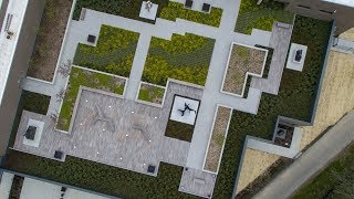 The Stuart and Barbara Padnos Rooftop Sculpture Garden