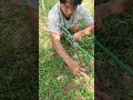 Ensaio do limite de tensão da corda