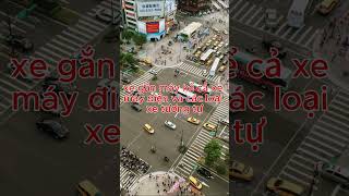 318 Vn Explain Words Of Qcvn 41 2019 Bgtvt  shorts freeway highway expressway trending 