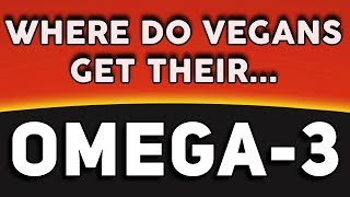 Omega-3 Fatty Acids on a Vegan Diet | Optimizing Your Health on a Plant Based Diet
