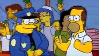 Homer Simpson - USA