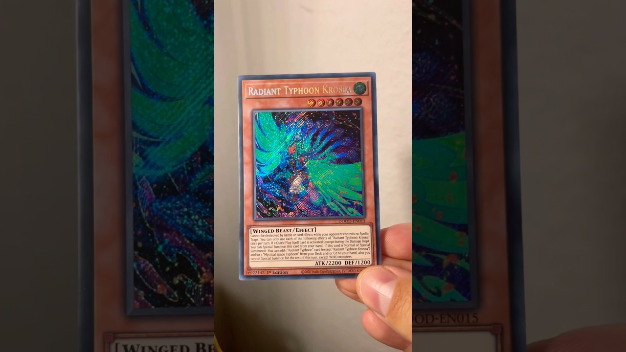 Radiant Typhoon Krosea | 