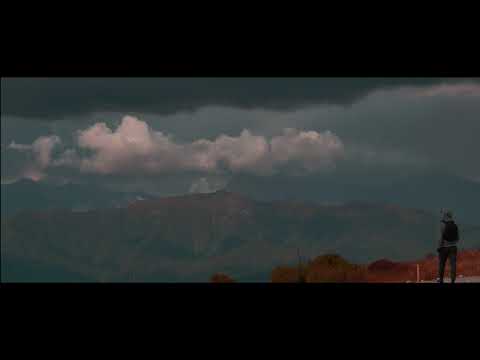 Z F S - მრავალძალი \"რაჭა\"