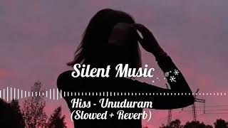 Hiss - Unuduram (Slowed & Reverb) Resimi