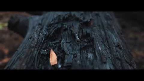 Canon 5D Mark IV with C-LOG update 4k low light