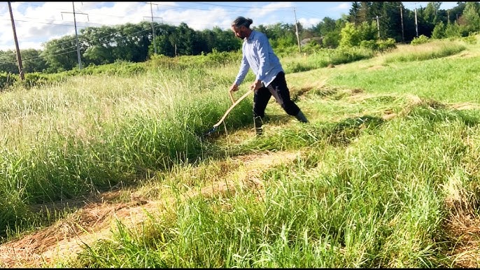 How to Mow With a Scythe - Dengarden