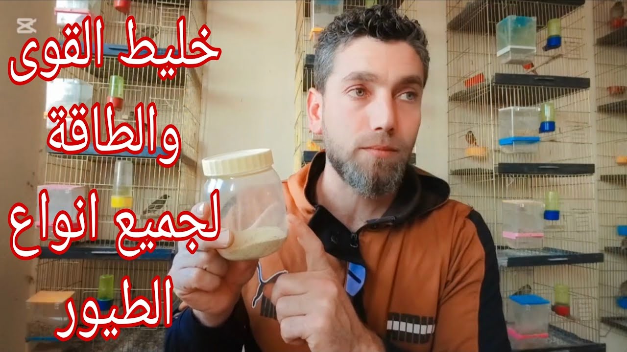 ب10غرام فقط اجعل طيورك في قمة الهيجان والتغريد 