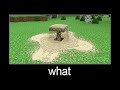Minecraft wait what meme part 154 (realistic sand)
