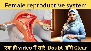 Female Reproductive System in Hindi | Uterus | Ovary  |Fallopian Tube | Vagina | Hymen| Labia Majora