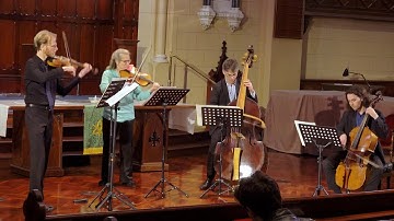 F. Hoffmeister  Quartetto No.2 for contrabasso, violin and bass