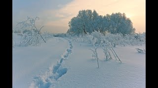 Я по первому снегу бреду...   Ефимыч на стихи С Есенина