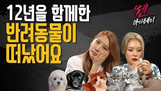 ep.26 반려동물이 떠났어요_ 《쎈마이웨이》