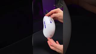 Why do simple mice feel better? 👀