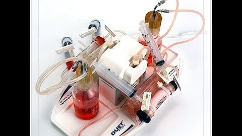 Clinical Scale Production of Extracellular Vesicles in a Hollow Fiber Bioreactor