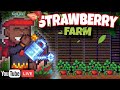 🔴[LIVE] Day 2🍓 Malam minggu merawat kebun strawberry!! | Crystal Realms Indonesia
