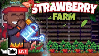 🔴[LIVE] Day 2🍓 Malam minggu merawat kebun strawberry!! | Crystal Realms Indonesia