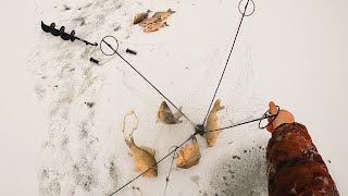 видео: УХ!!! ВОТ ЭТО ЛОПАТЫ! ДУМАЛ РАЗОРВУ ВСЕ ХАПУГИ.МОНСТРЫ-КАРАСИ НЕ ВХОДЯТ В ЛУНКИ. Рыбалка на Хапугу картинка: УХ!!! ВОТ ЭТО ЛОПАТЫ! ДУМАЛ РАЗОРВУ ВСЕ ХАПУГИ.МОНСТРЫ-КАРАСИ НЕ ВХОДЯТ В ЛУНКИ. Рыбалка на Хапугу