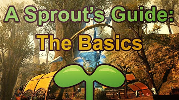 A Sprouts Guide: The Basics