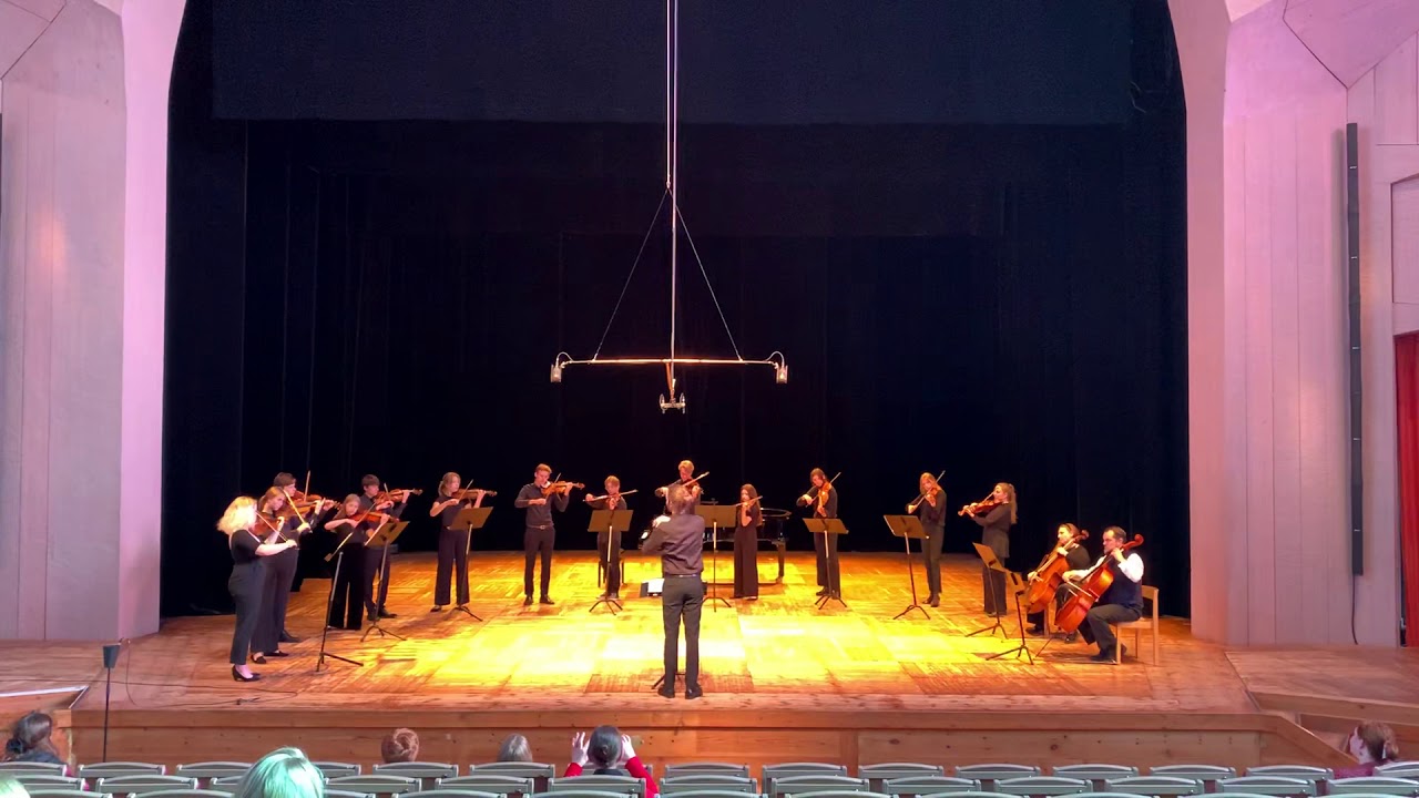 NMG stråkensemble spelar Börelius