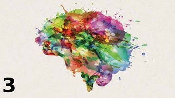 Core Systems (How Emotions are Made)