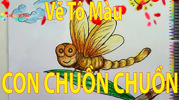 Hướng dẫn dạy bé cách vẽ tô màu con chuồn chuồn đẹp đơn giản 🛰🛰🛰