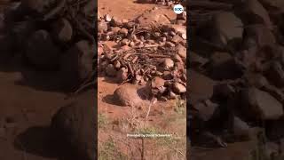 Grand Canyon flash flood led to about 15 people unaccounted for