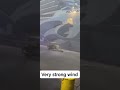 Very Strong Wind