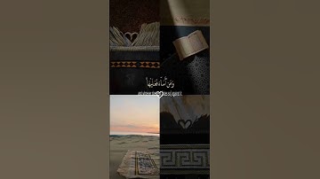 #قران_كريم #قرآن#سورة_فصلت #سورة_الكهف #الشيخ_محمد_صديق_المنشاوي #لايك #اكسبلور #اكتب_شي_تؤجر_عليه