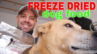 FREEZE DRIED DOG FOOD RECIPE Homemade vs. Store Bought