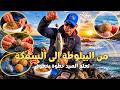 تعلم الصيد بالبيلوطة خطوة بخطوة شرح كامل للمبتدئين 