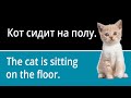 Animals Vocabulary in Russian (with pictures and example sentences)