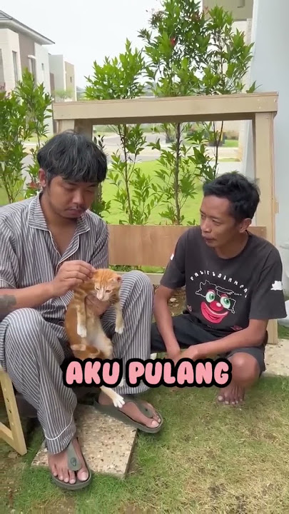 PEGAWAI DODIT PASRAH DI PECAT‼️ #KomediAlternatif