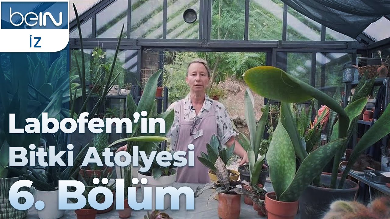 Labofem'in Bitki Atölyesi 6. Bölüm