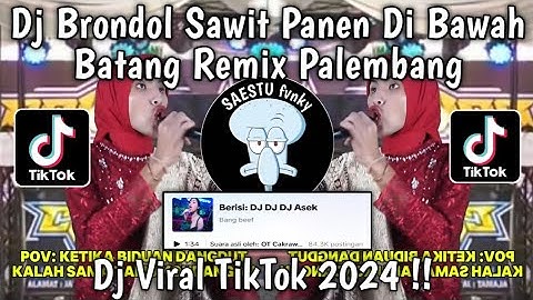 DJ BRONDOL SAWIT PANEN DI BAWAH BATANG OT CAKRAWALA OKU TIMUR REMIX PALEMBANG VIRAL TIKTOK 2024 !!