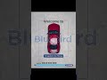 Welcome to Bluebird Rentals | Freedom to Move