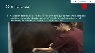 examen clínico en pequeñas y grandes especies