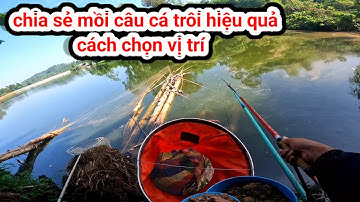chia sẻ mồi câu cá trôi đỏ trôi trắng, vị trí để câu 1 cách hiệu quả nhất #moicaucatroi