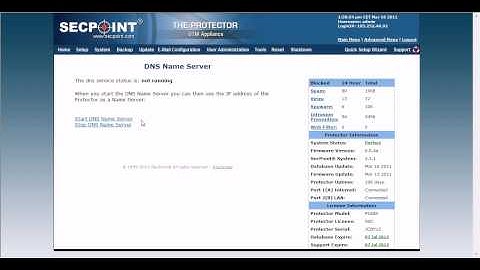 Protector UTM DNS Name Server