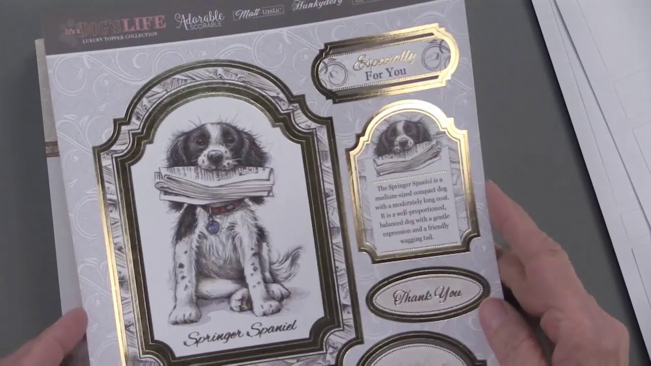 It's A Dog's Life Luxury Topper Set from Hunkydory Crafts - Paper Wishes Exclusive instructional coach