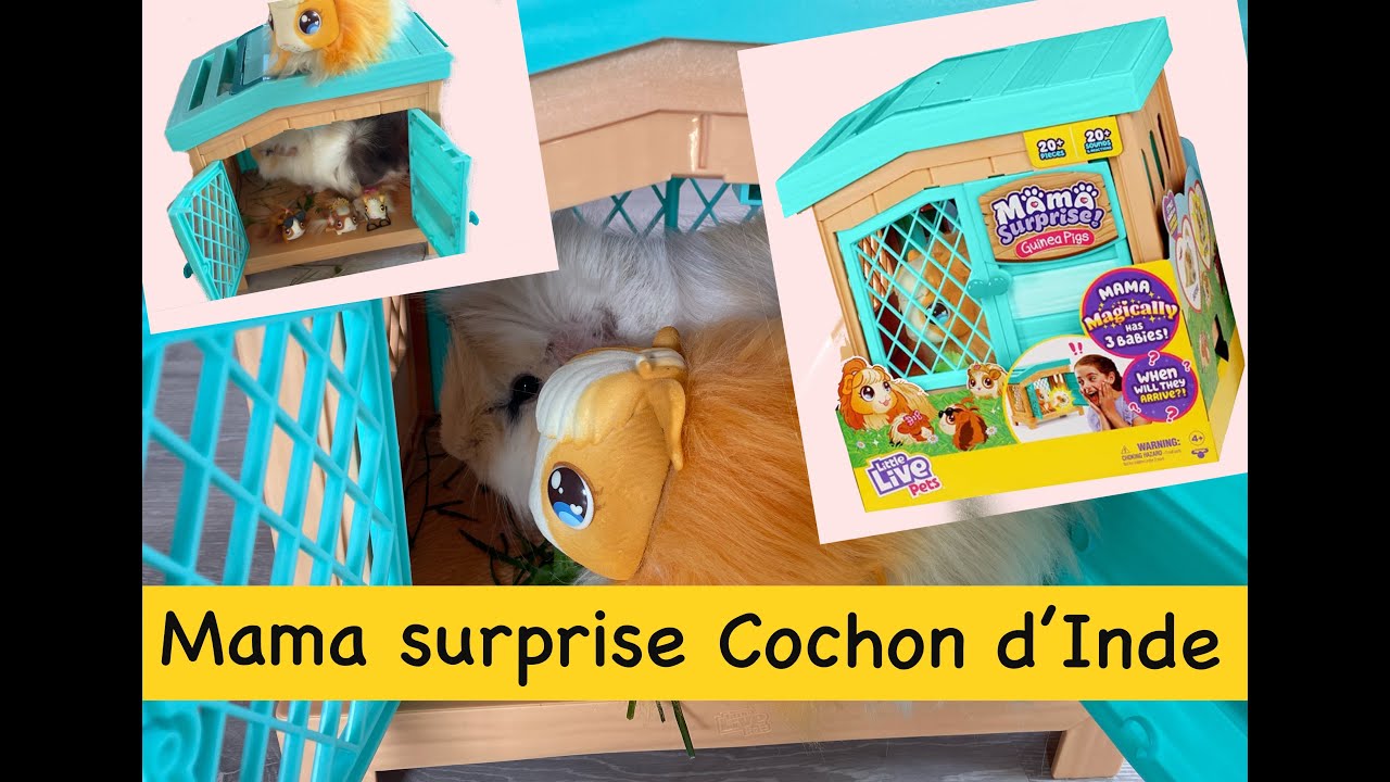 MAMA SURPRISE LITTLE LIVE PETS: cochon d'Inde 