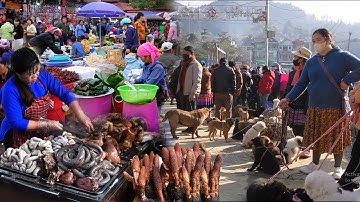 SỐC! Bac Ha Market Vietnam – Ẩm Thực Dân Tộc Cực Lạ, Món Ăn Núi Rừng Khiến Du Khách Mê Mẩn