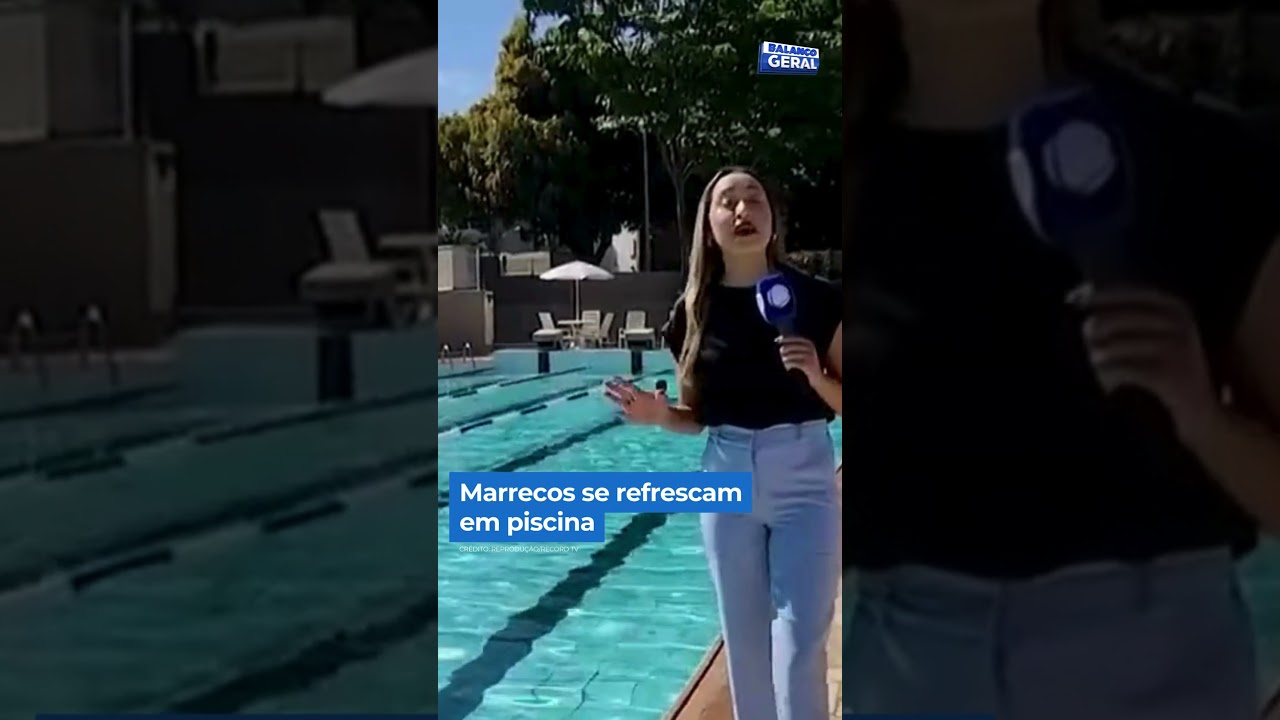 Marrecos se refrescam em piscina #shorts